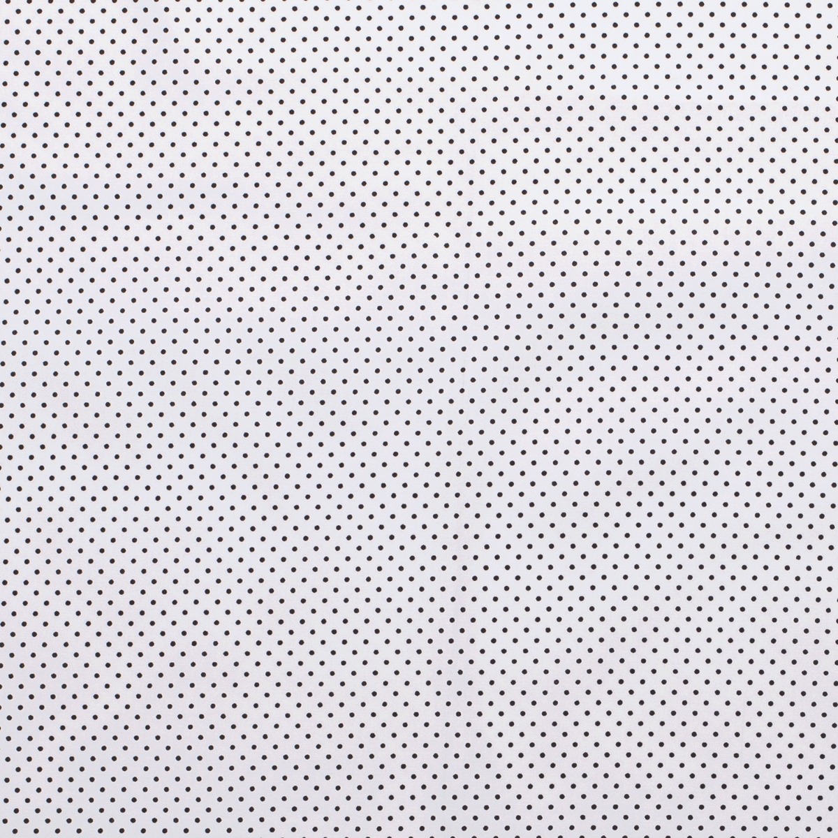 Baumwolle Mini Punkte Standard Schwarz auf Weiß